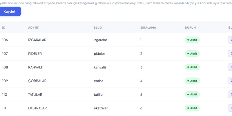 Admin paneli kategori düzenleme ekranı